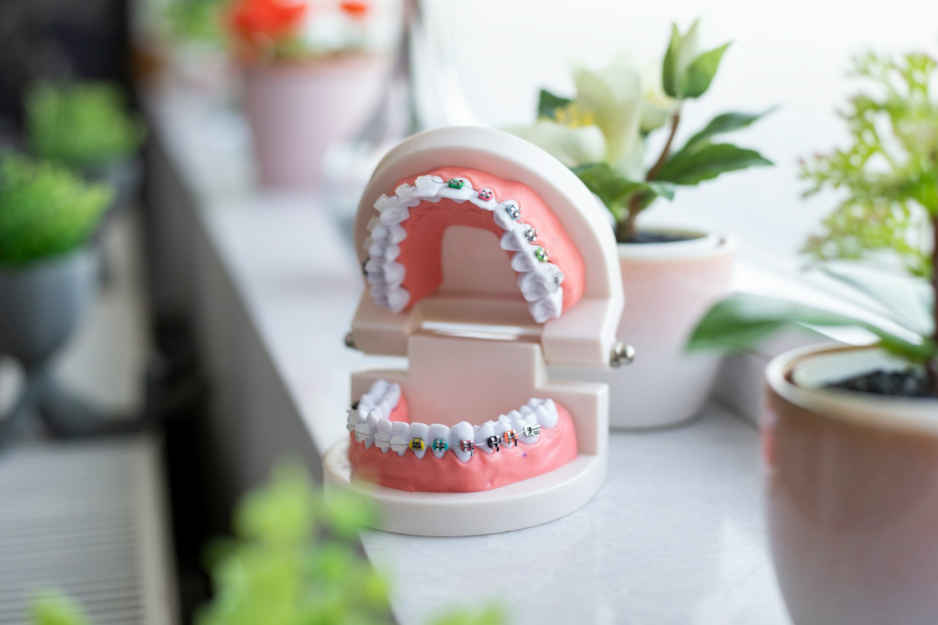 teeth model with braces