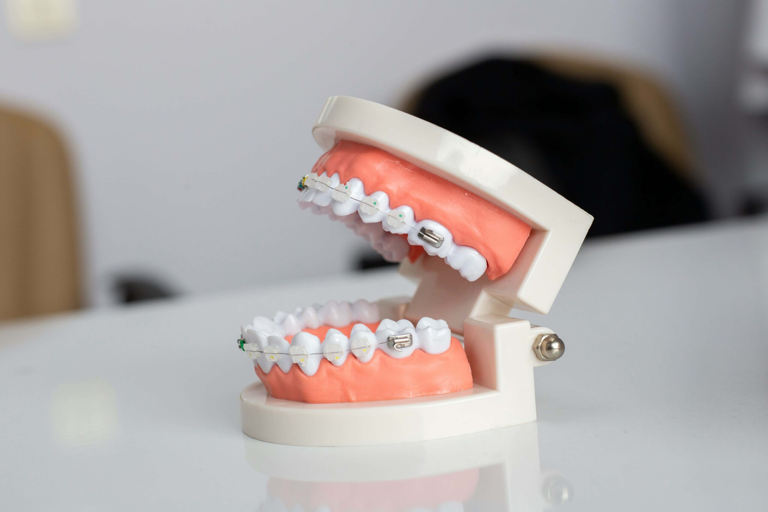 model for teeth