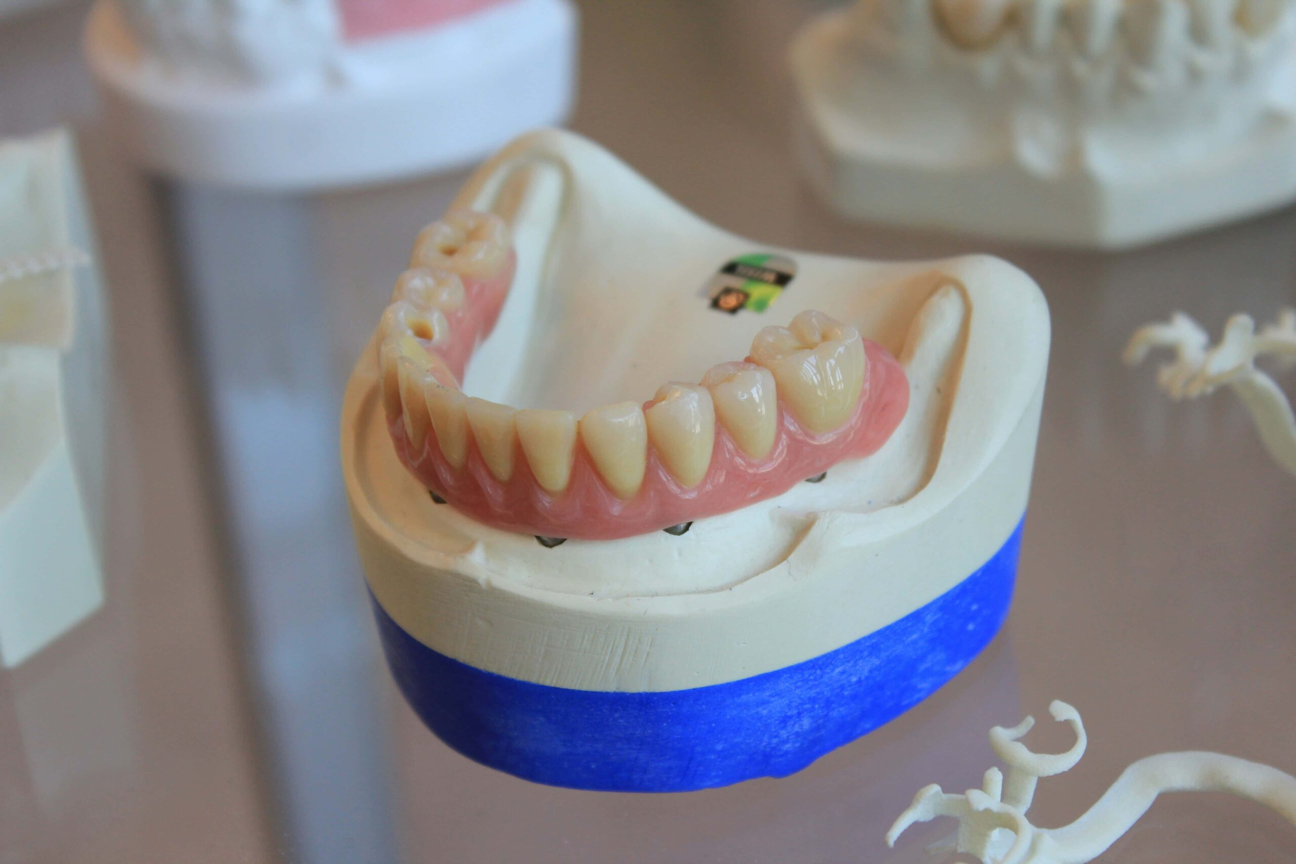 teeth model